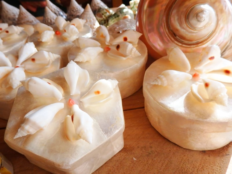 白い貝の小物入れ