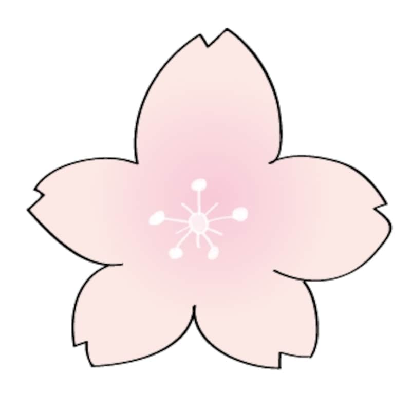 桜の花　イラスト　カラー　かわいい