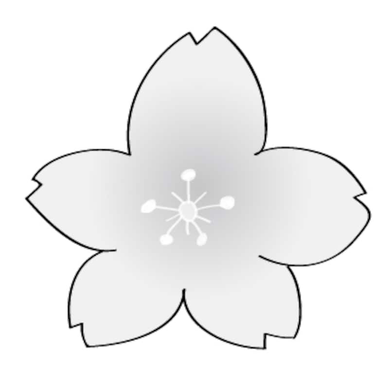 桜の花　イラスト　白黒　かわいい