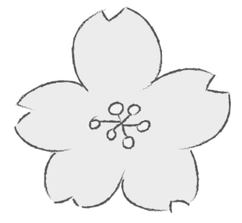 桜の花　イラスト　白黒　かわいい