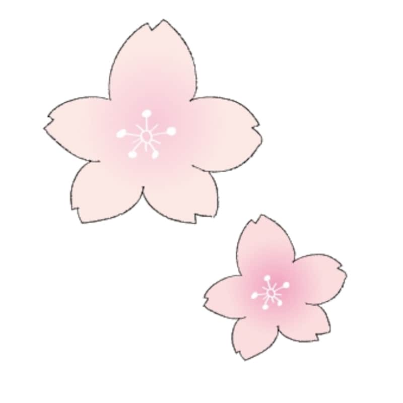 桜の花　イラスト　カラー　かわいい