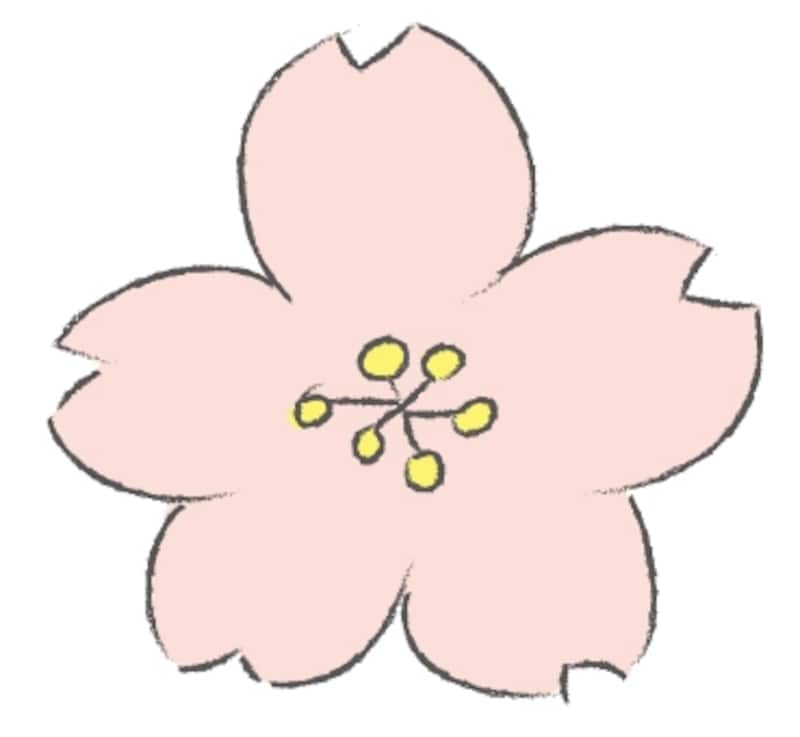 桜の花　イラスト　カラー　かわいい