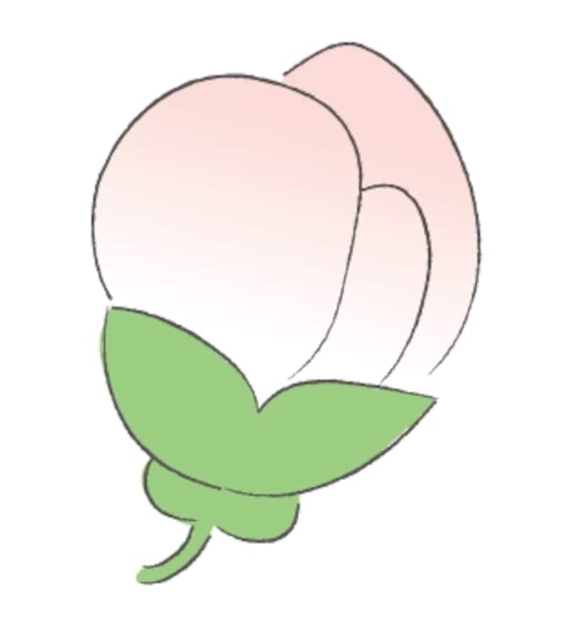 桜のつぼみ　イラスト　カラー　かわいい