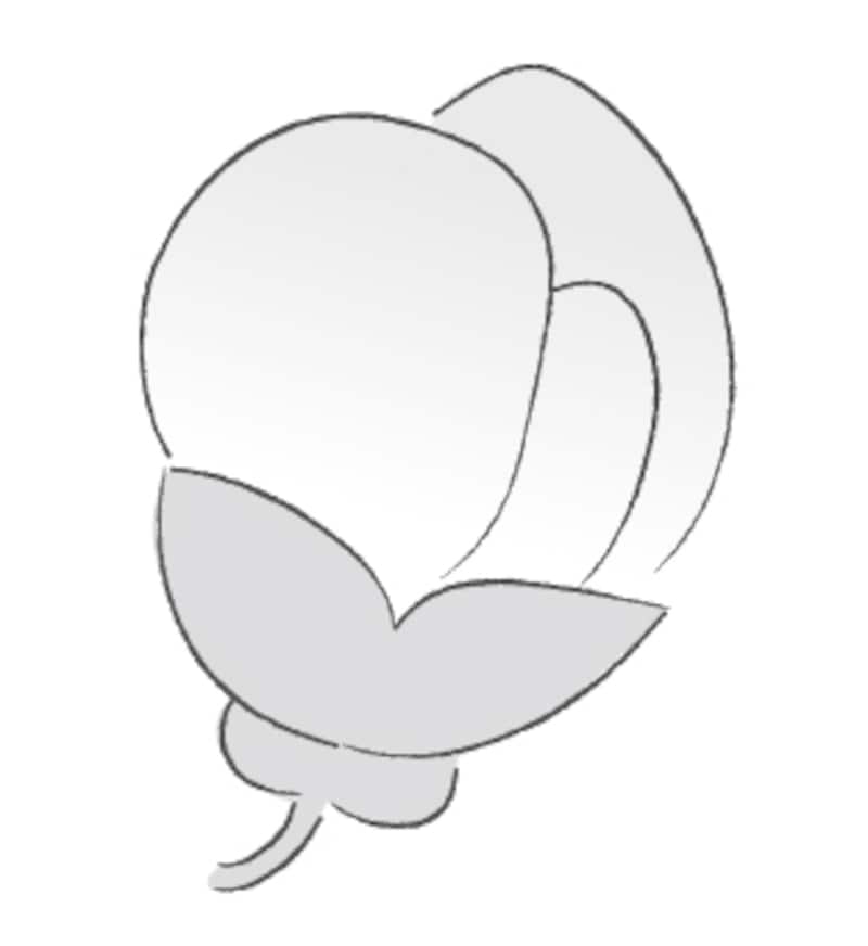 桜のつぼみ　イラスト　白黒　かわいい