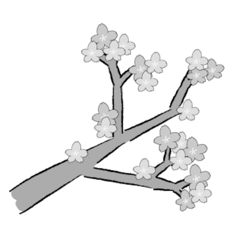 桜の木　イラスト　白黒　かわいい