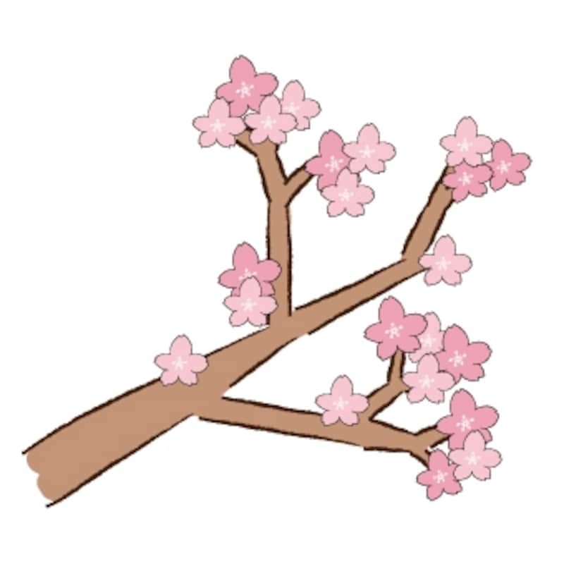 桜の木　イラスト　カラー　かわいい