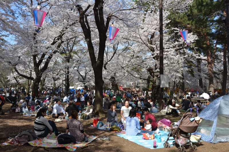 お弁当を広げる人で埋め尽くされる自由広場