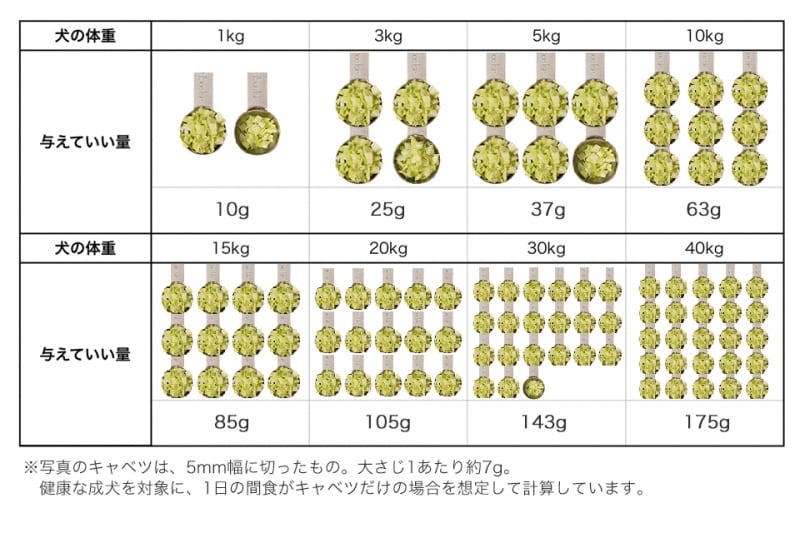 犬undefinedキャベツundefined食べて良いundefined量undefined病気undefined薬undefined食べ合わせ