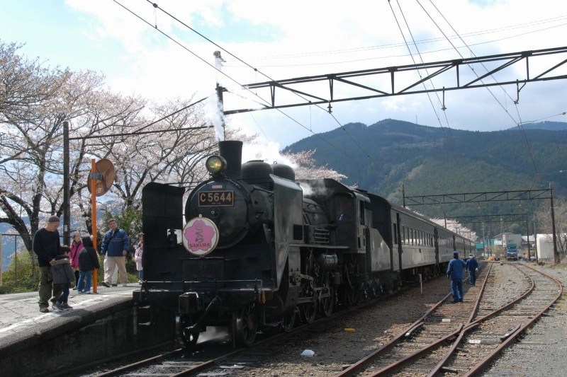 家山駅に到着したSL列車