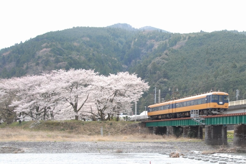 元近鉄の特急電車