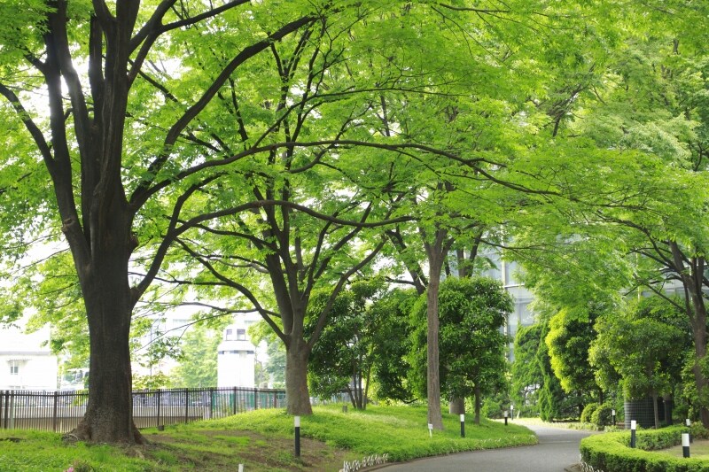 お金がなくても外で楽しみたい