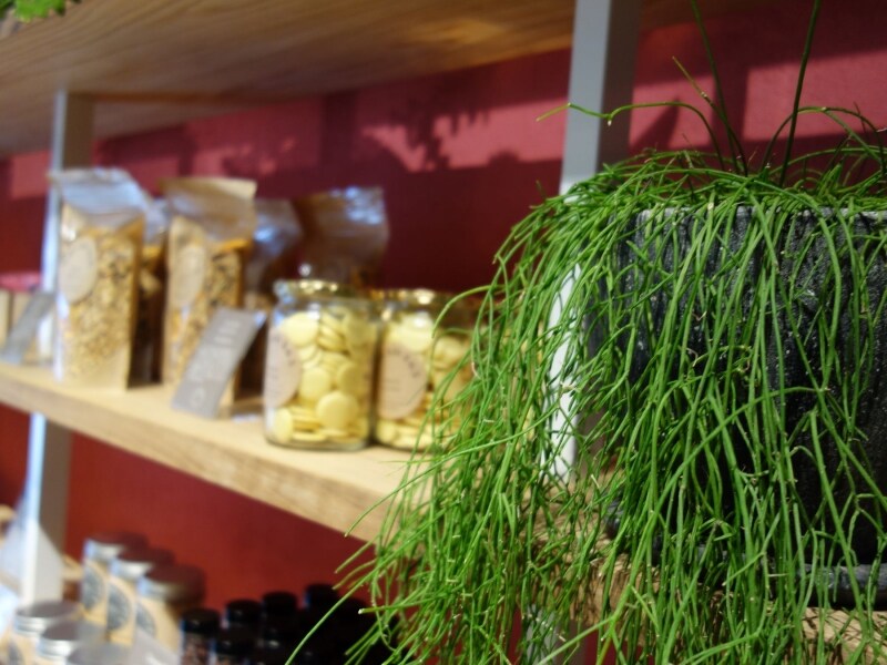 多肉植物が至る所に