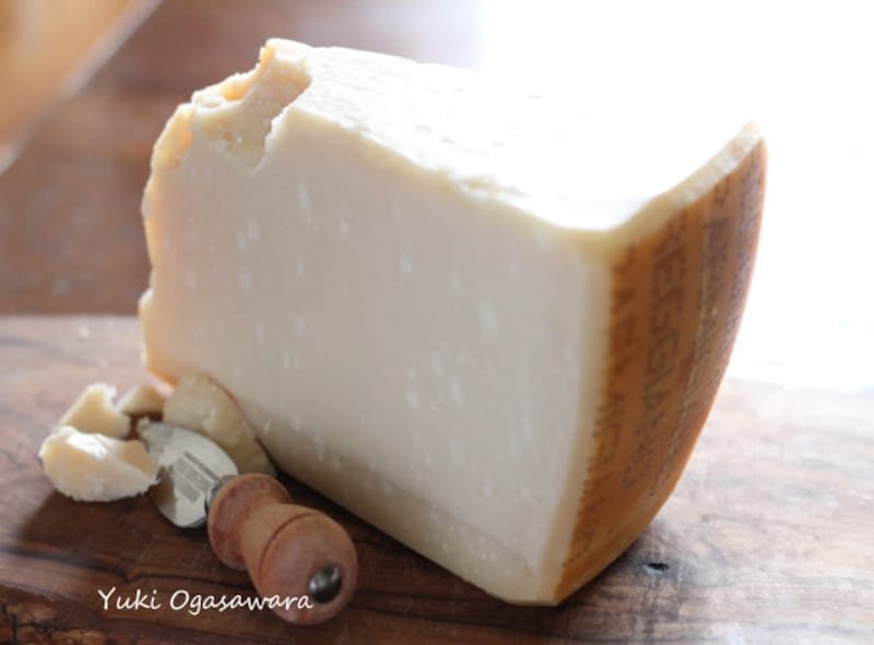 パルミジャーノ・レッジャーノundefinedパルメザンundefinedチーズundefined花見undefinedピクニック