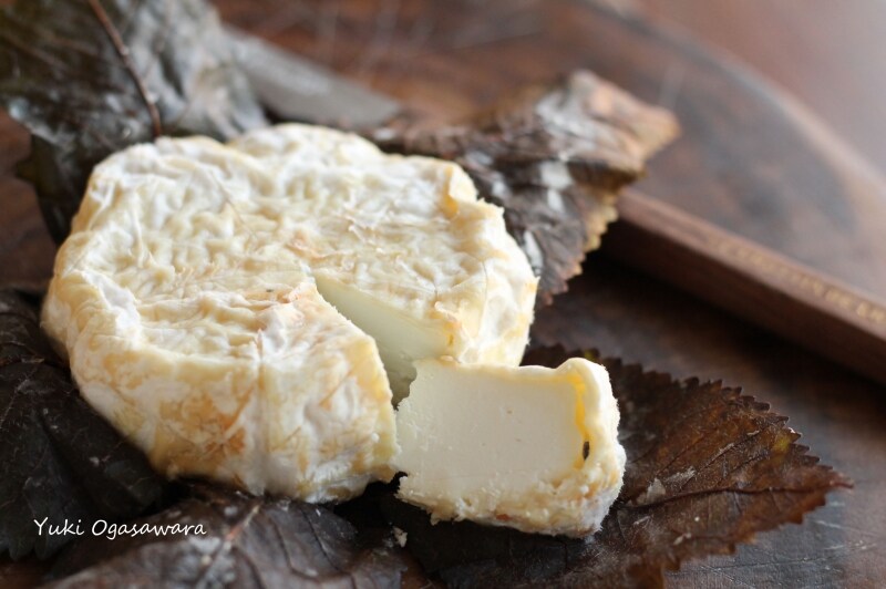 桜の葉undefinedシェーブルundefinedチーズundefinedラ・ロッサ