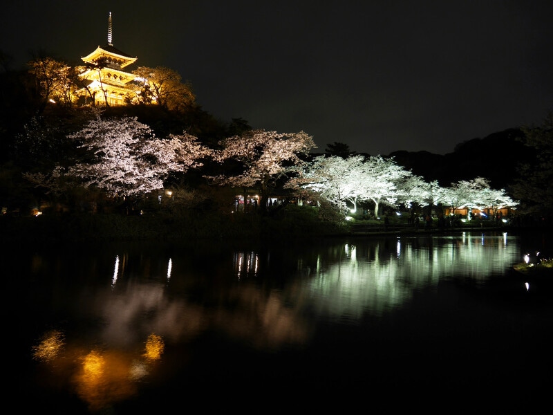 桜のライトアップ期間中は21:00まで開園。ライトアップされた桜並木や三重塔が大池にうつりこんで幻想的(2017年4月8日撮影)
