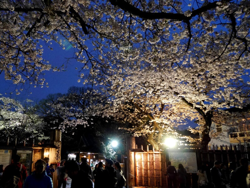 土曜日18:30ごろの正門入口の様子。入園券を購入するために混雑していました(2017年4月8日撮影)