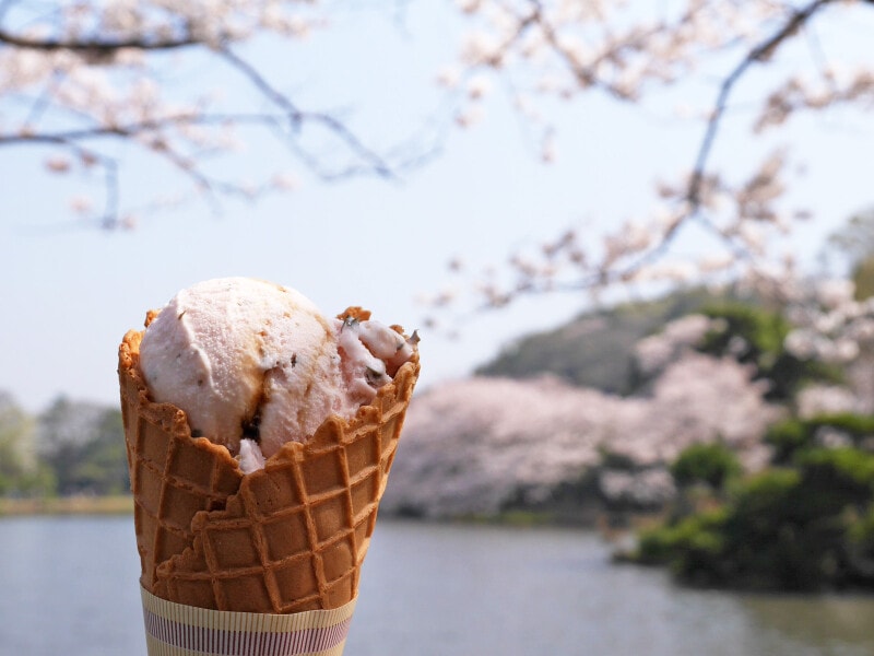 三溪園茶寮「さくらアイスクリーム(税込400円)」(2018年3月28日撮影)