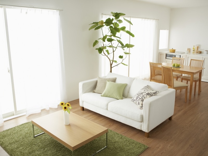 一見、きれいに見えるこの部屋にも、目に見えないハウスダストがいっぱいいるかもしれません