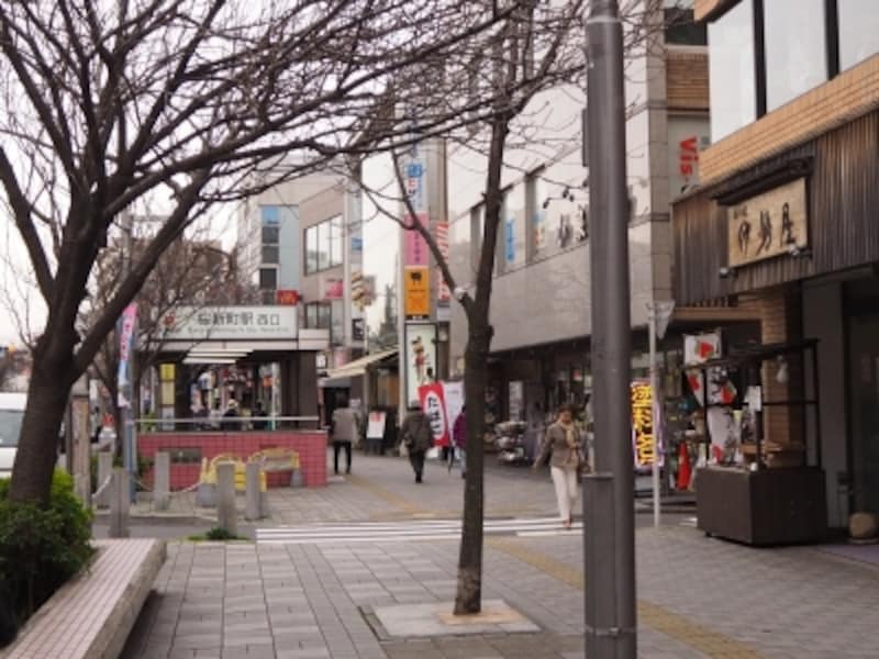 桜新町周辺で御朱印をもらい 桜鑑賞もしつつ豪徳寺へ 散歩 All About