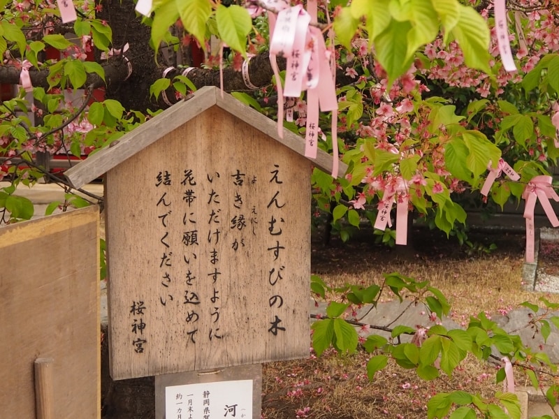 桜神宮では花帯は社務所でいただける。初穂料は500円。