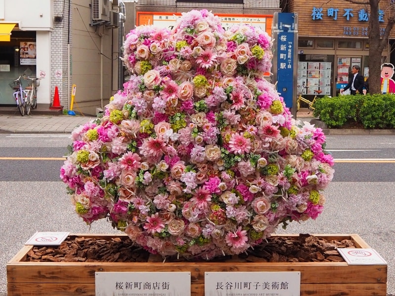 桜が咲くまではこちらのお花を観賞