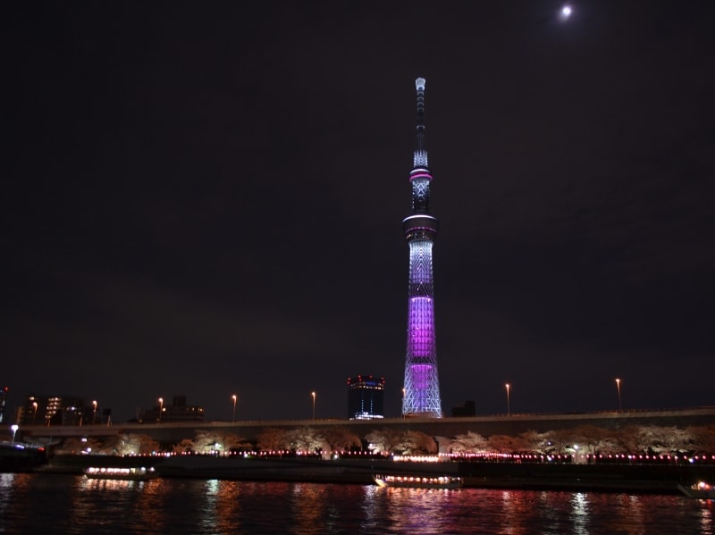 東京スカイツリー（R）と墨田公園の桜