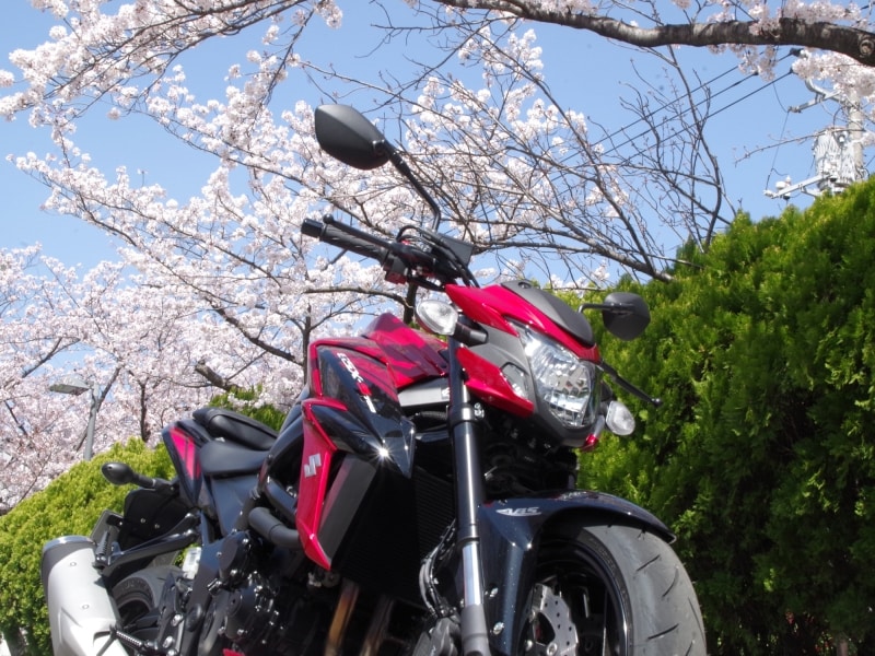 桜が舞い散る中での試乗となった！日本のバイクには桜が良く似合う！
