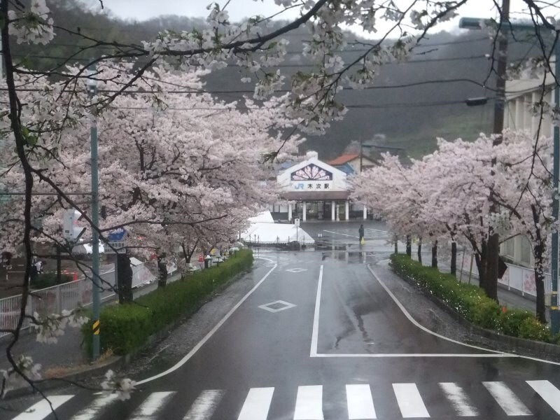 木次駅と桜