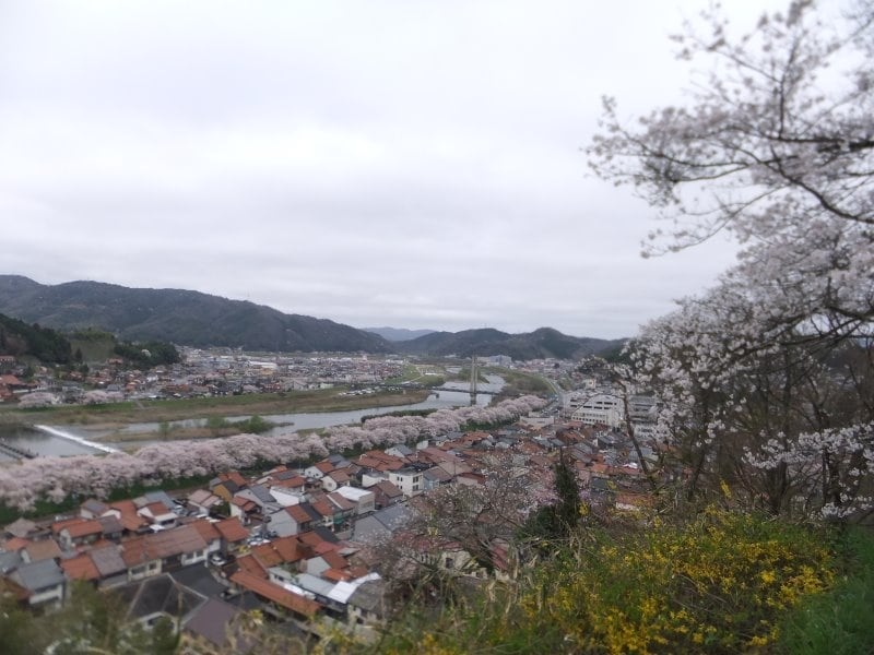 斐伊川堤防桜並木（8）／木次公園より