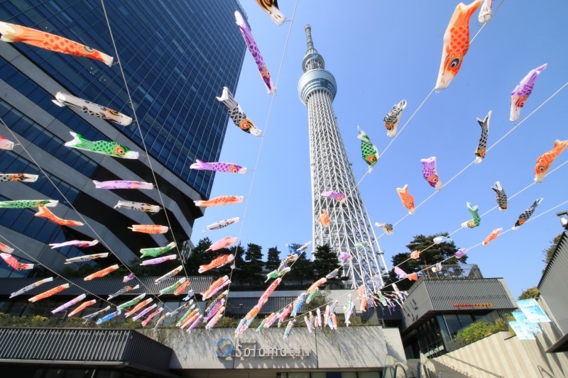 合計1000匹のこいのぼり