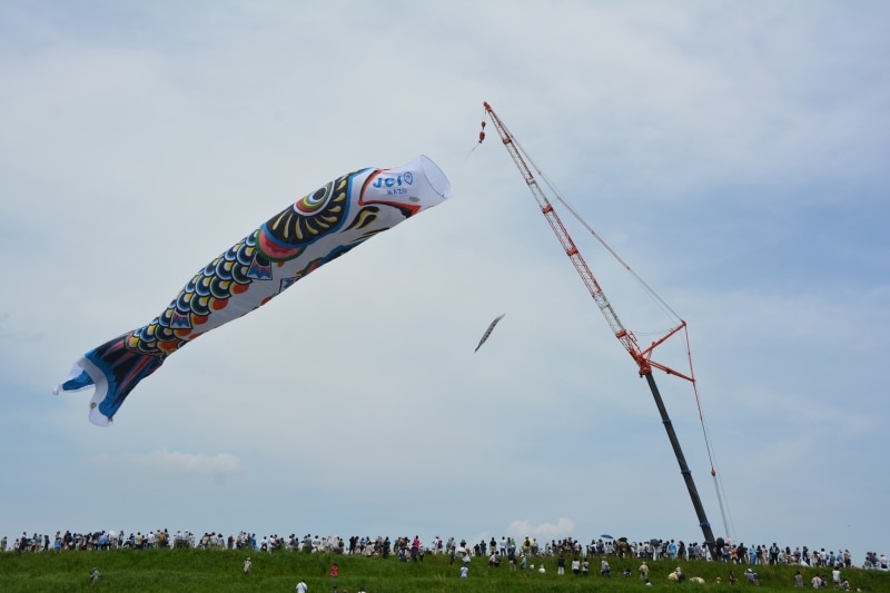 利根川の上空に出現するジャンボこいのぼり