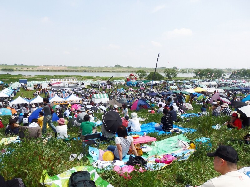 ジャンボこいのぼりが引き揚げられる利根川河川敷緑地公園