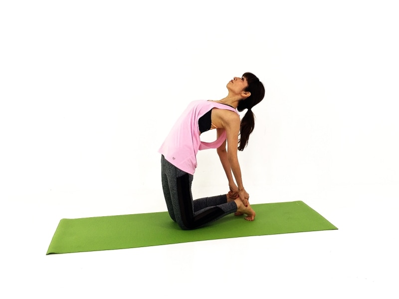 ウシュトラーサナ3undefined両手を両踵に添えま