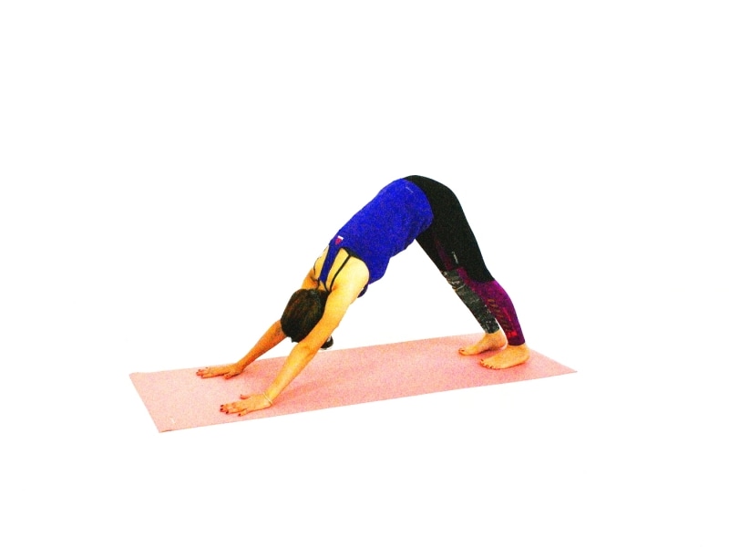 ヴィンヤサ・ヨガフロー2undefined下を向いた犬のポーズ(ダウンドッグ)になります