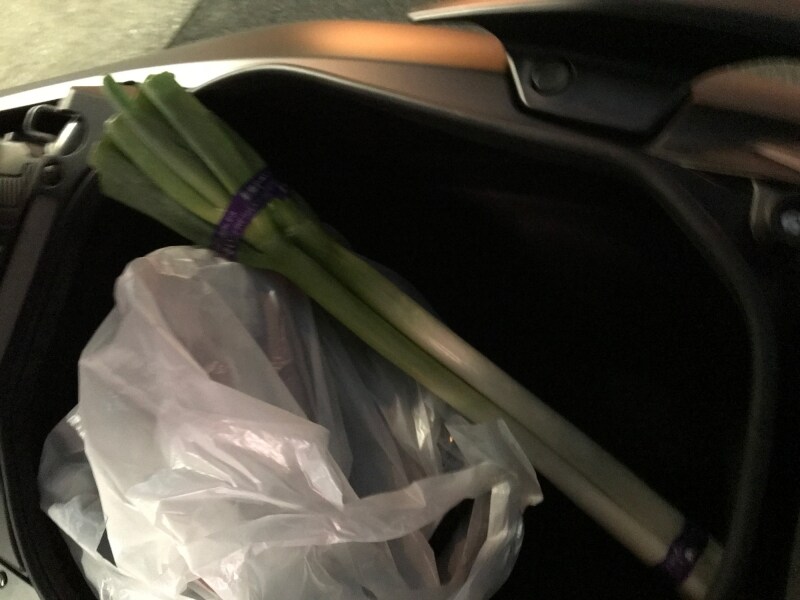 意外と幅が狭いので長いものは入れにくい。ねぎはギリギリ入りませんでした！