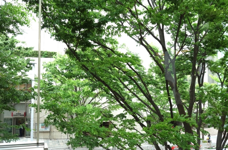 2F「ル・サロン」から