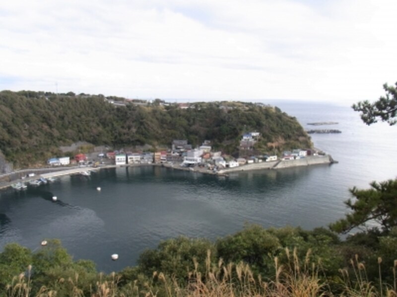 大島町、所得制限、一部負担金