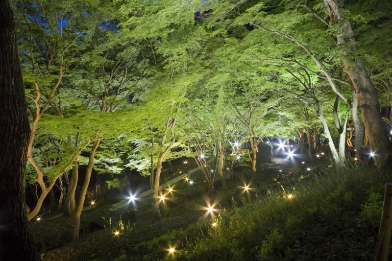 八瀬もみじの小径