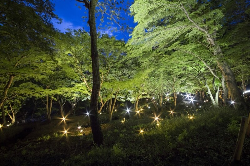 八瀬もみじの小径