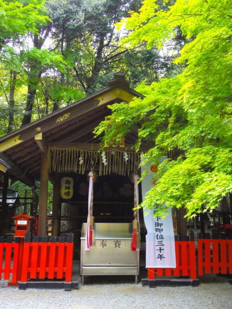 野宮神社の本殿