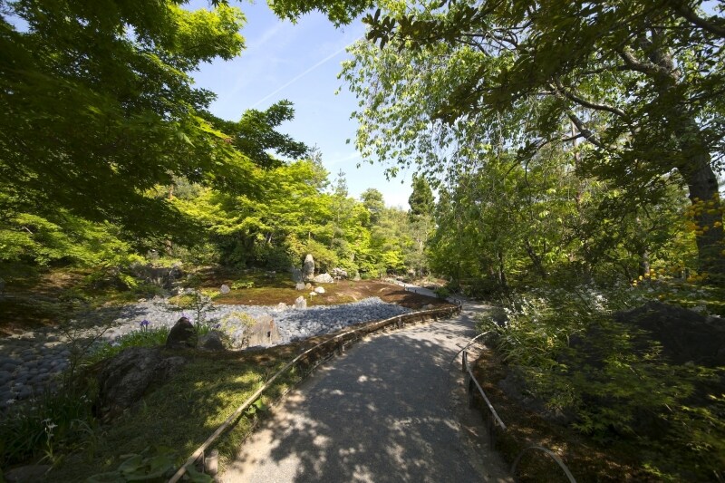 宝厳院の庭園