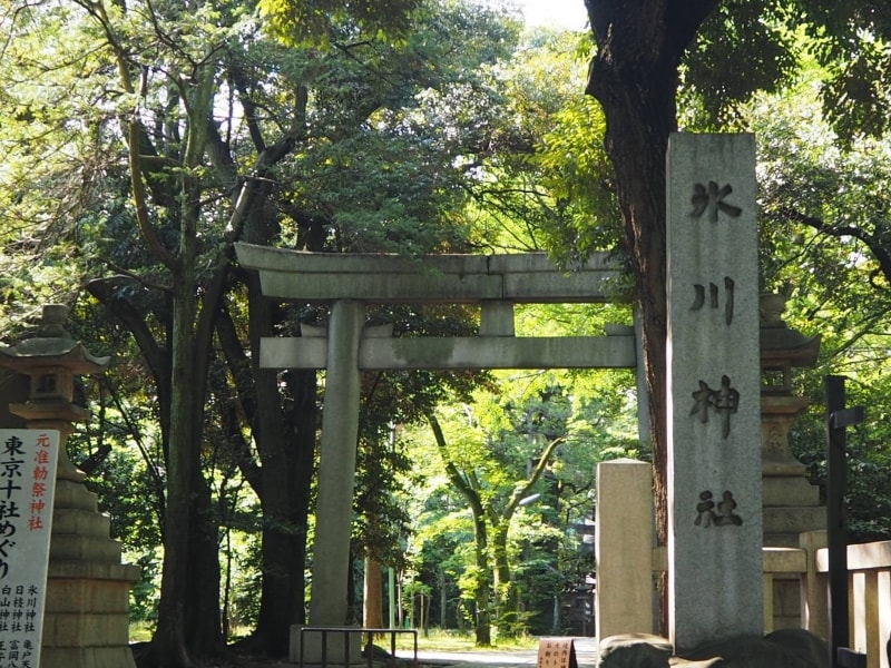 赤坂氷川神社境内には銀杏の古木などがありいい雰囲気だ