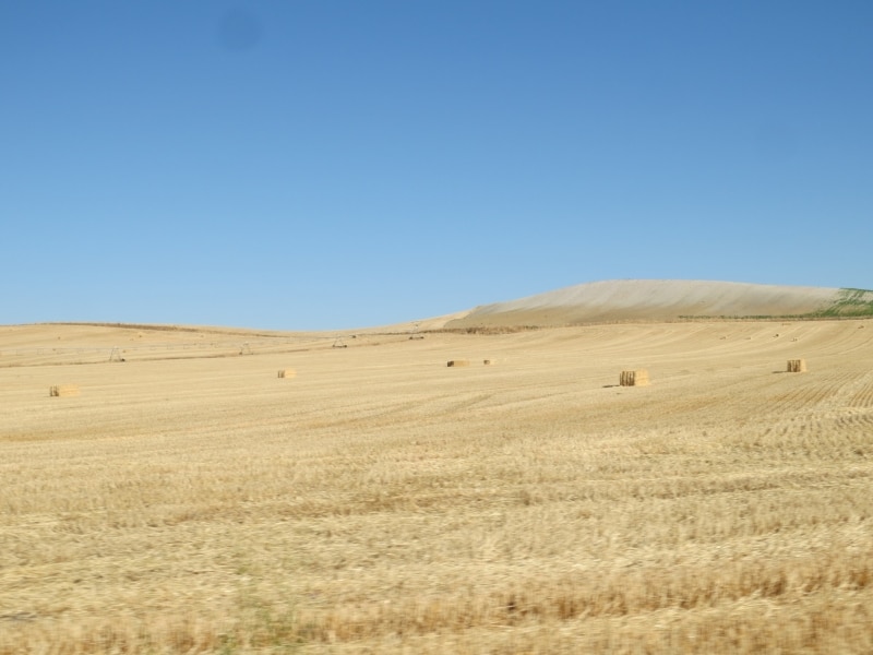 カスティーリャ