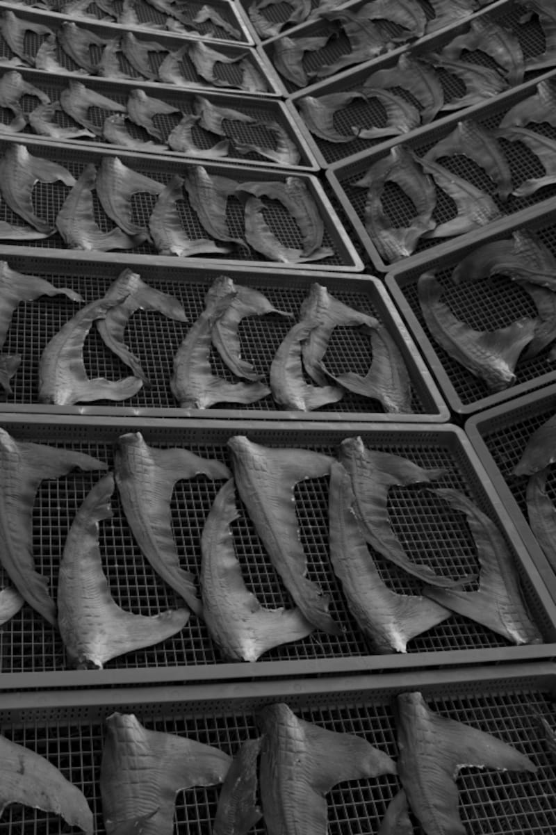 店内に飾られている平間氏撮影の写真