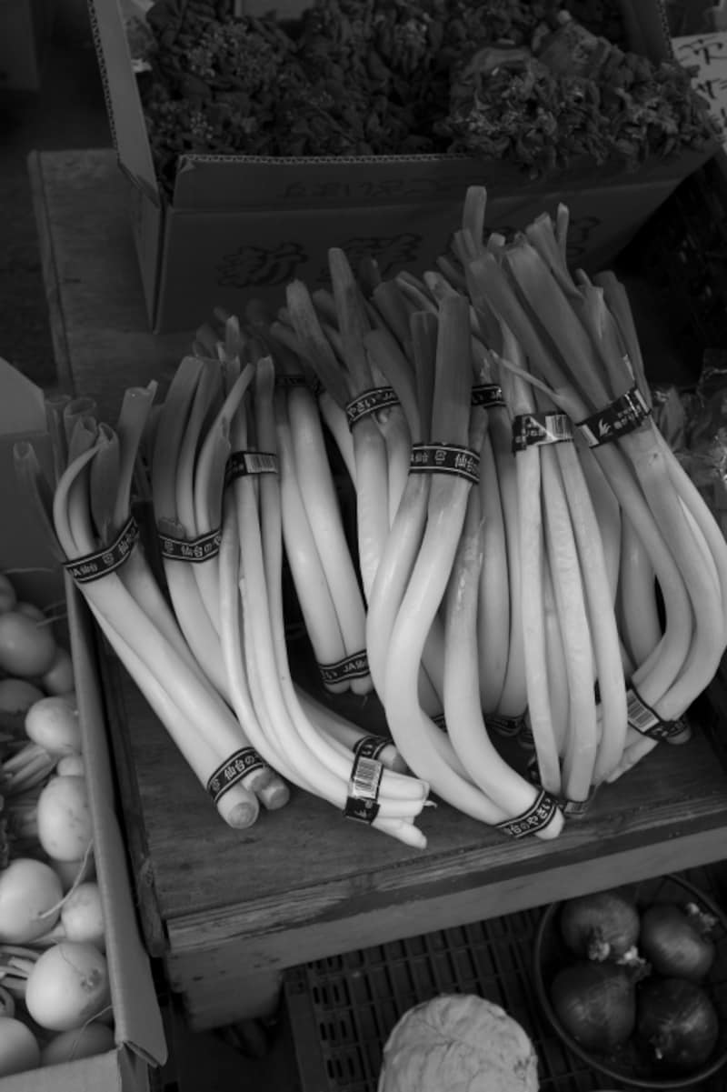 店内に飾られている平間氏撮影の写真