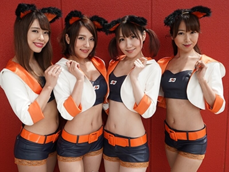 Arnage Lovely Cats