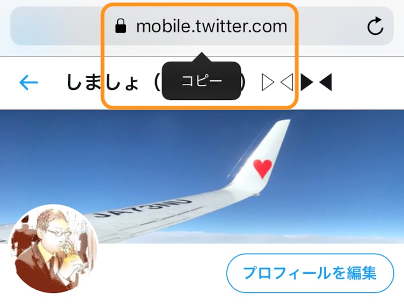 URLを長押しして［コピー］をタップ(ブラウザによってコピーする手順は異なります)