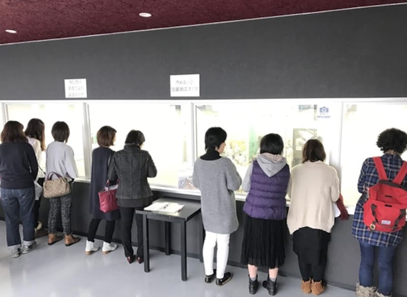 工場見学の様子