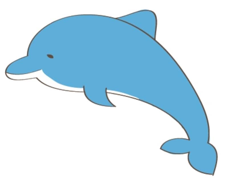 カラーundefinedイルカundefined夏undefinedイラストundefinedフリーundefinedかわいい