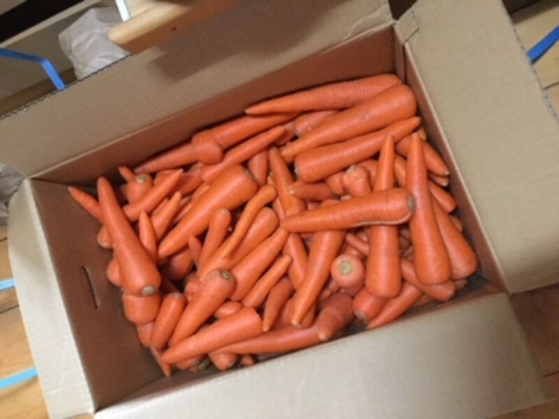 こちらはニンジン。サイズはばらばらですが、料理に使う分には全く問題なし。